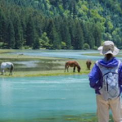 徒步·四姑娘山长坪沟景区+毕棚沟+四姑娘山景区-木骡子+叉子沟垭口4日3晚跟团游